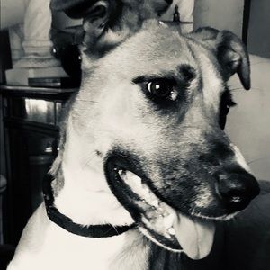 Meet your Posher, Lindsey